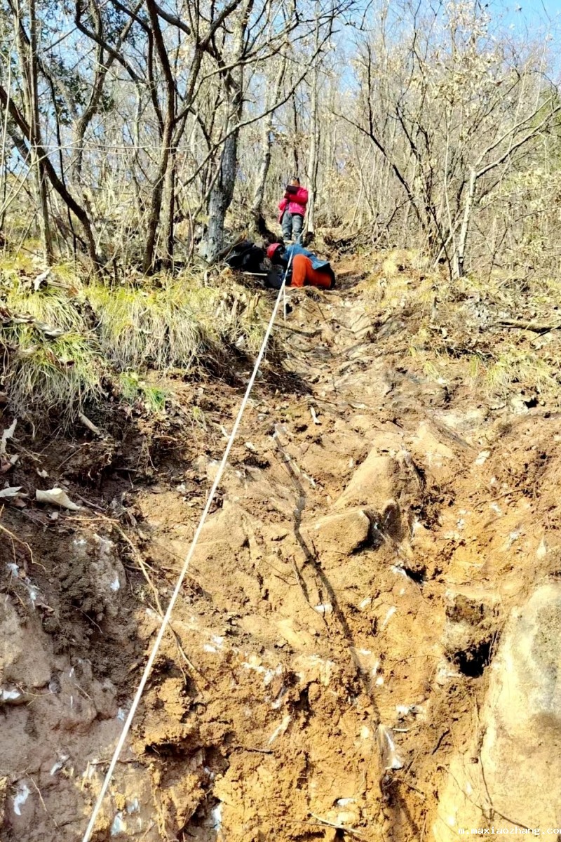 20250228/67c18219533d8.jpg 2.jpg