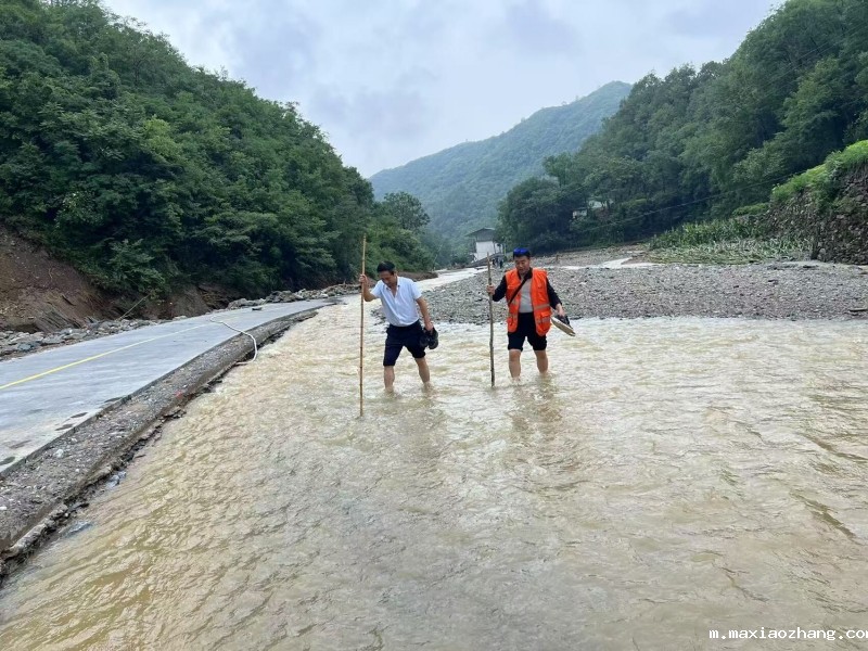 20250716/68779e51e50bc.jpg 2.jpg