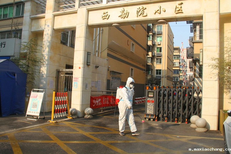 20220113/61e01291e5566.jpg 4.jpg