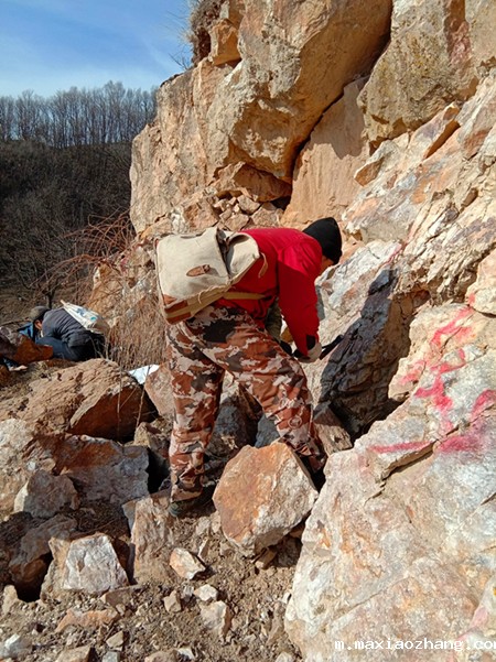 20220120/61e961500a3bb.jpg 1.jpg