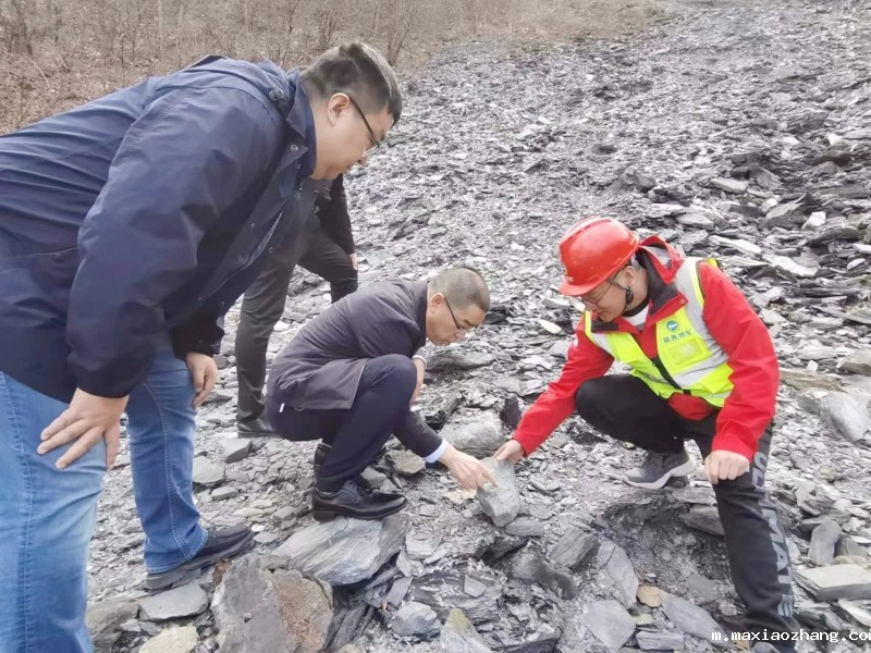 20230310/640a81e2170f1.jpg 2.jpg