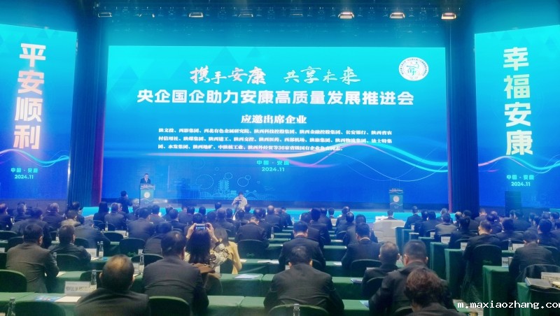 20241104/67288037d47b9.jpg 1.jpg