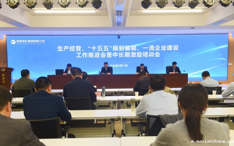 伟德网页版下载教程视频召开生产经营、“十五五”规划编制、一流企业建设工作推进会暨中长期激励培训会