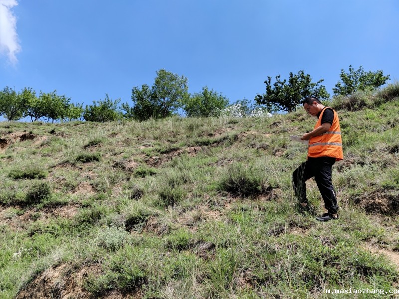 20250729/68887f948b11f.jpg 3.jpg